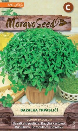 Bazalka pravá MS trpasličia - do kvetináčov 0,6g/ 320s.