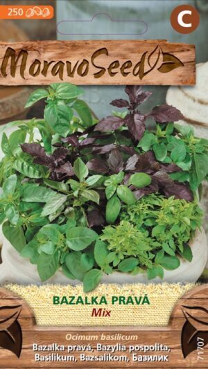 Bazalka pravá MS zmes  0,5g/ 250s.