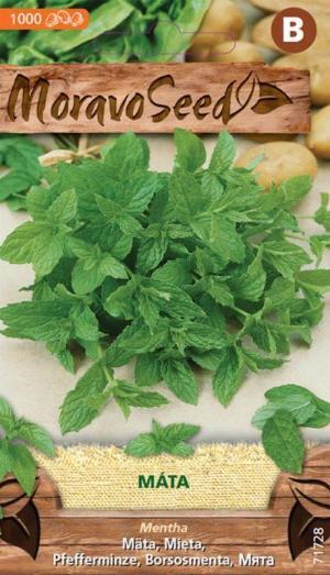 Mäta pieporná MS 0,1g/ 1000s