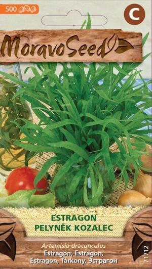 Palina dračia MS estragón - Artemisia dracunculus   0,1g/ 500s.