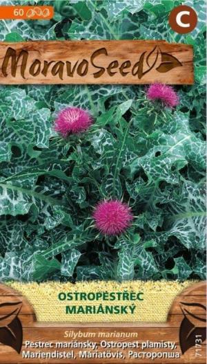 Pestrec mariánsky MS (Silybum marianum) 3g/ 60s.