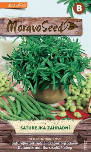 Saturejka záhr. MS (Satureja hortensis)