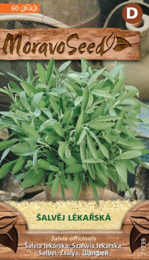 Šalvia lekárska MS (Salvia officinalis) 0,7g/ 60s.