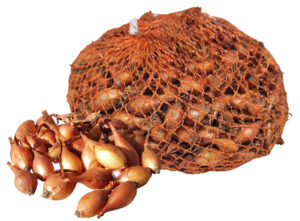 Cibuľka sadzačka Makoi 500g/20V 10-13mm žltá guľatá v sieťke