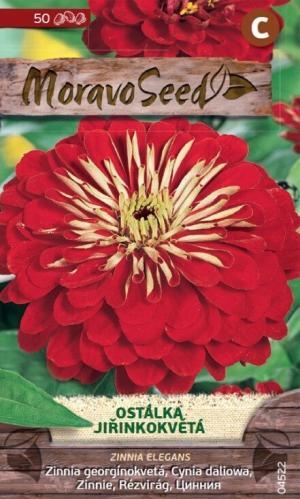 Cínia MS Dáliokv. červená 0,7g/ 50s.
