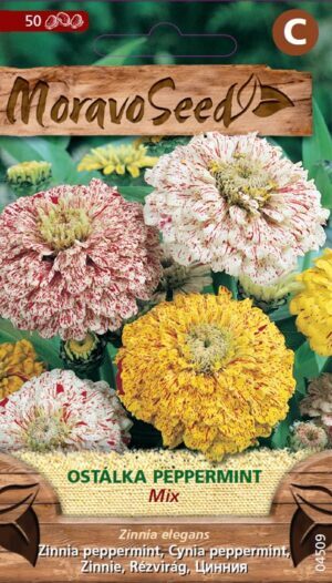 Cínia MS Dáliokv. pepermint. 0,6g/ 50s.