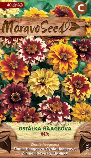 Cínia MS Hageová - úzkolistá zmes 0,6g/ 40s.