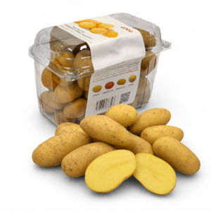 Sadba zemiaky, jahody