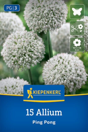 Okras.cesnak Ping Pong bal.20ks 6/+ (allium) biely 100cm Basis