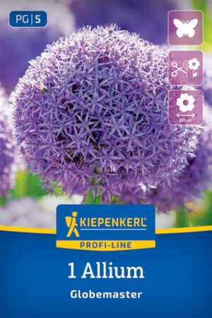 Okras.cesnak Globemaster bal.1ks (allium)